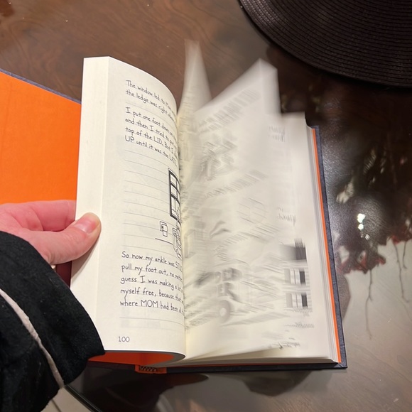 Diary of a wimpy kid Wrecking Ball - Picture 4 of 4